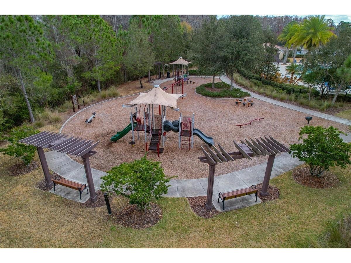 4664 Lagona Lane Wesley Chapel FL 33543 TB8479954 image79