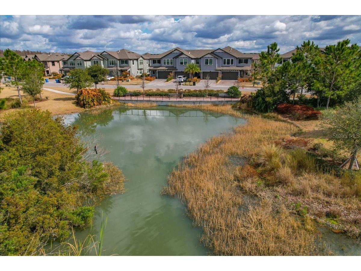 4664 Lagona Lane Wesley Chapel FL 33543 TB8479954 image94