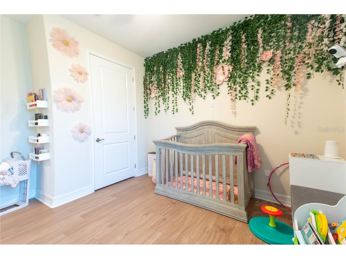 4665 Tivoli Drive Wesley Chapel FL 33543 TB8426667 image10