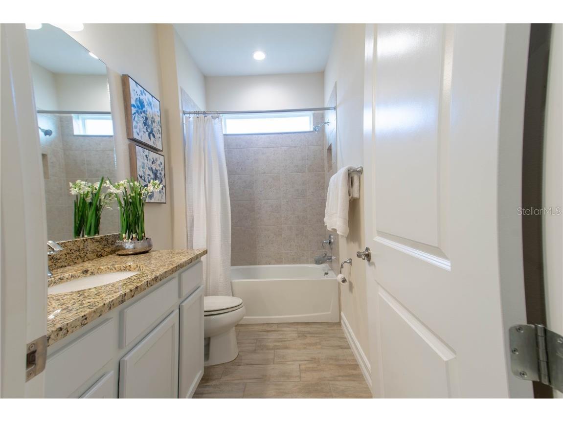 4665 Tivoli Drive Wesley Chapel FL 33543 TB8426667 image12