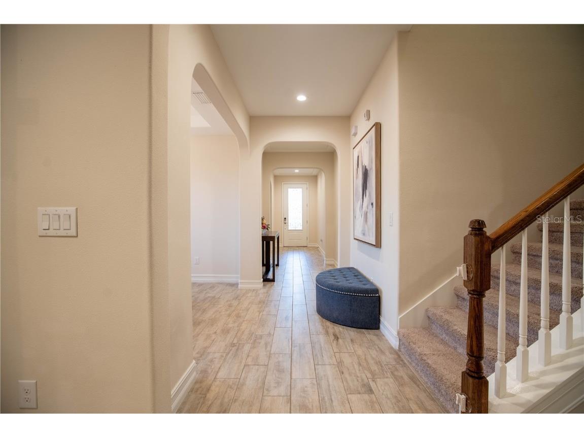 4665 Tivoli Drive Wesley Chapel FL 33543 TB8426667 image19