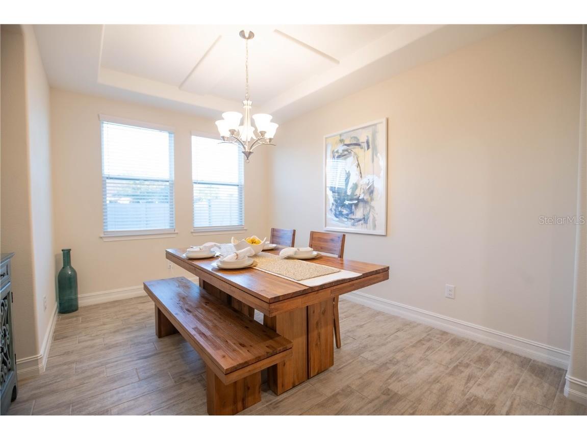 4665 Tivoli Drive Wesley Chapel FL 33543 TB8426667 image21