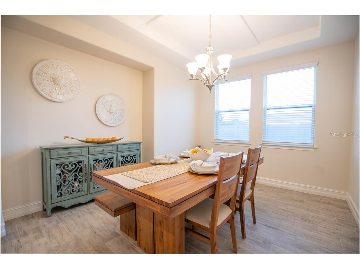 4665 Tivoli Drive Wesley Chapel FL 33543 TB8426667 image22