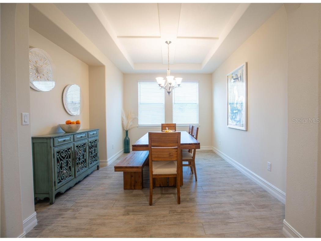 4665 Tivoli Drive Wesley Chapel FL 33543 TB8426667 image23