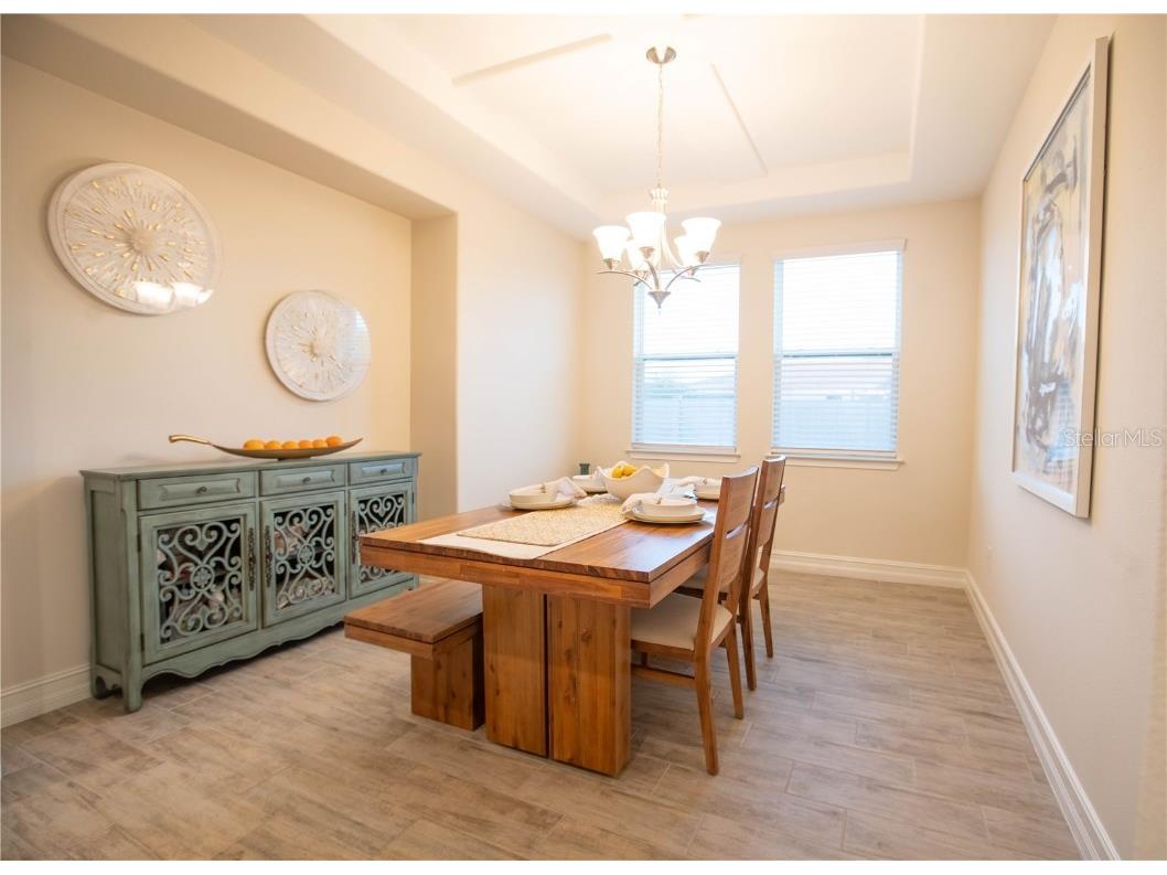 4665 Tivoli Drive Wesley Chapel FL 33543 TB8426667 image25