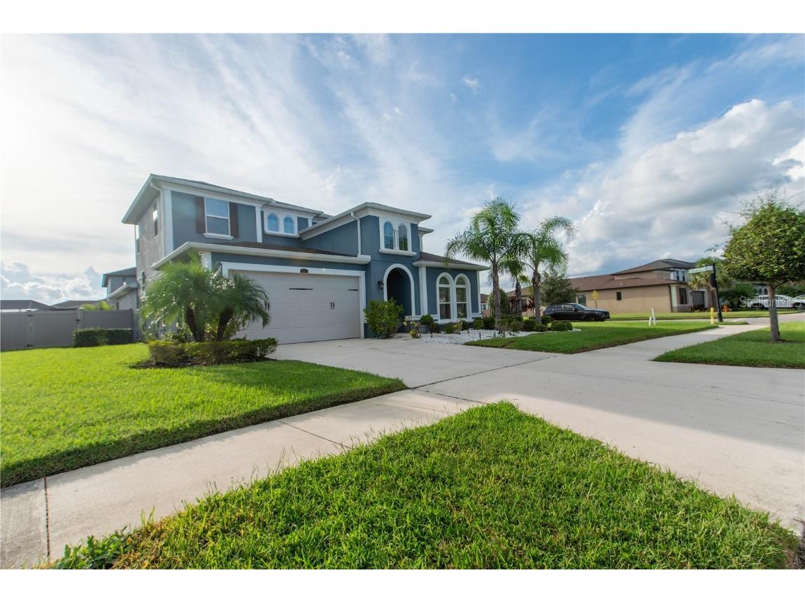 4665 Tivoli Drive Wesley Chapel FL 33543 TB8426667 image3