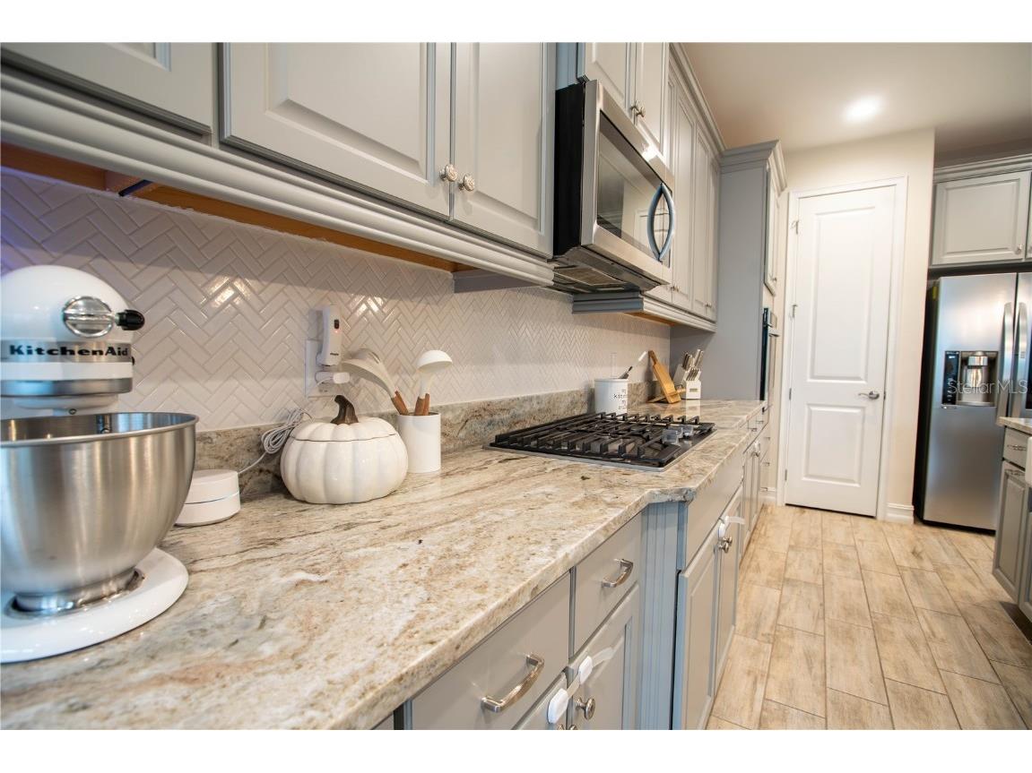 4665 Tivoli Drive Wesley Chapel FL 33543 TB8426667 image37