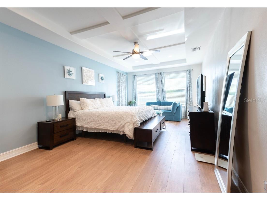 4665 Tivoli Drive Wesley Chapel FL 33543 TB8426667 image38