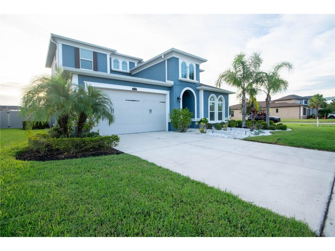 4665 Tivoli Drive Wesley Chapel FL 33543 TB8426667 image4