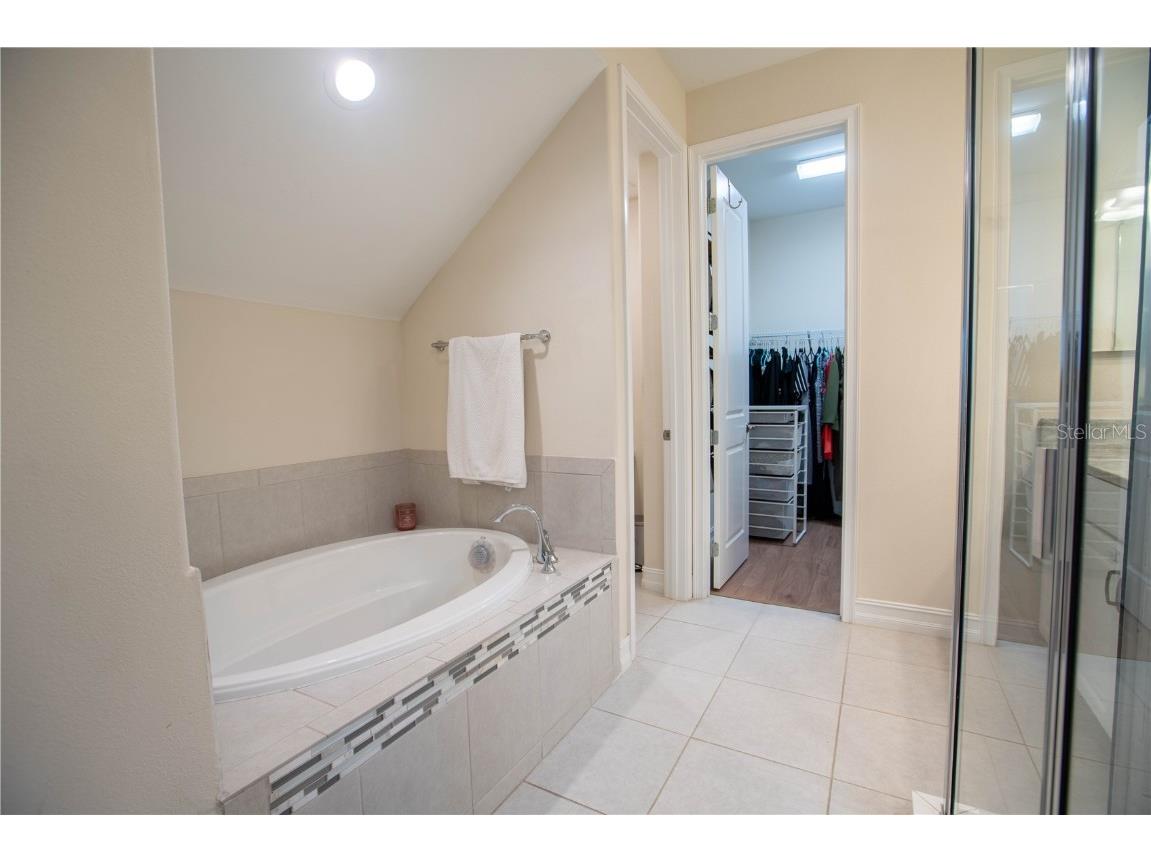 4665 Tivoli Drive Wesley Chapel FL 33543 TB8426667 image46