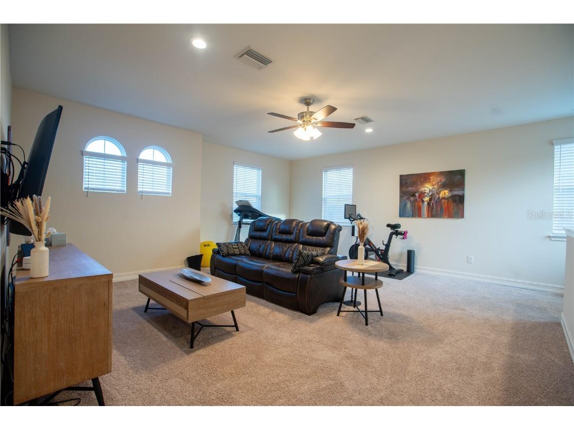 4665 Tivoli Drive Wesley Chapel FL 33543 TB8426667 image48