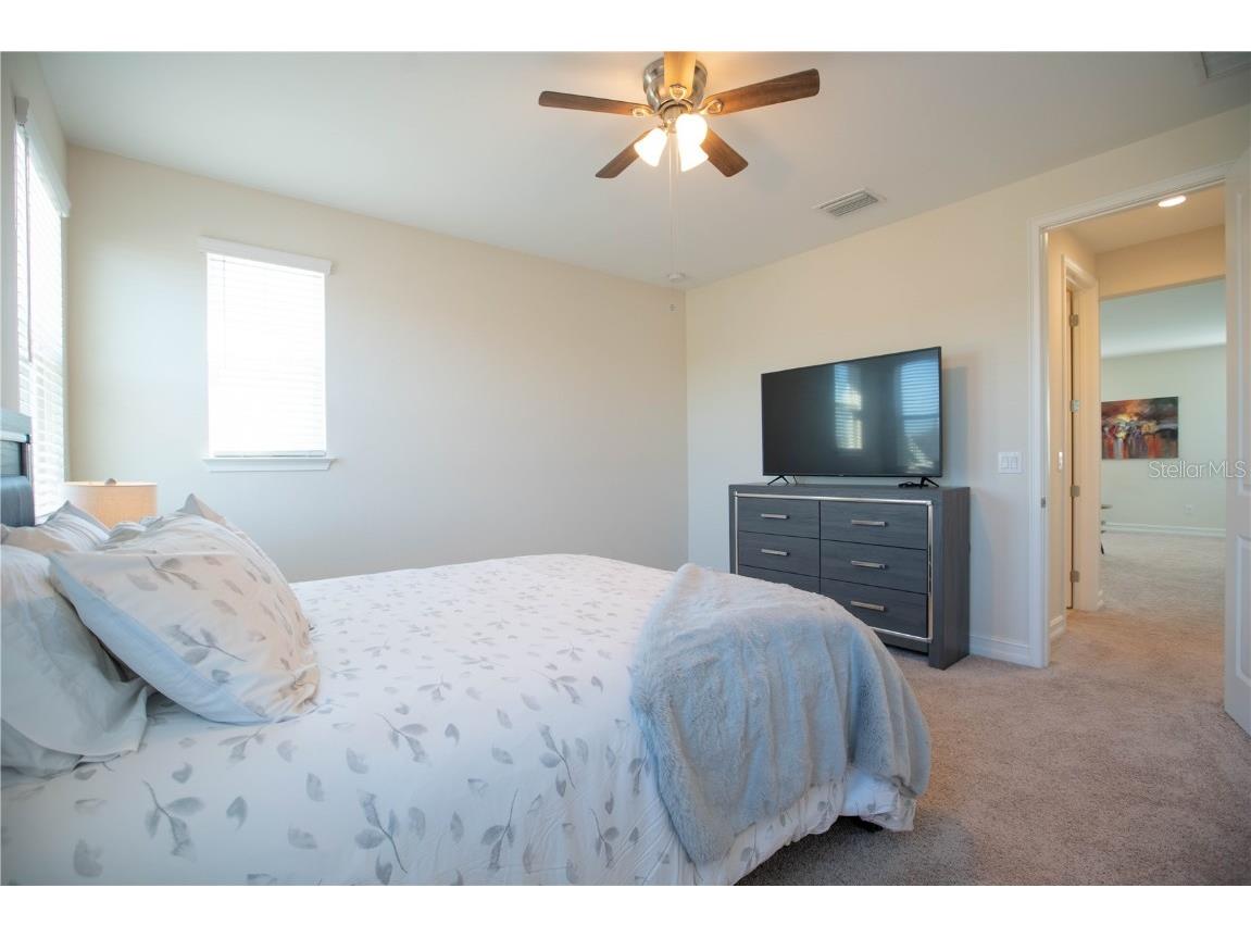 4665 Tivoli Drive Wesley Chapel FL 33543 TB8426667 image49