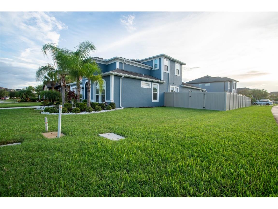 4665 Tivoli Drive Wesley Chapel FL 33543 TB8426667 image5