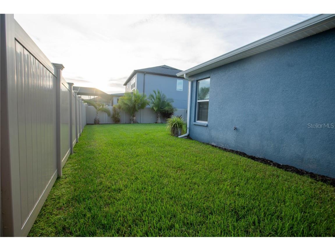 4665 Tivoli Drive Wesley Chapel FL 33543 TB8426667 image58