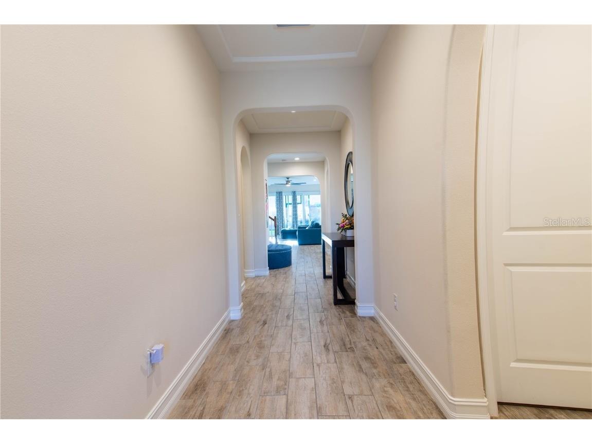 4665 Tivoli Drive Wesley Chapel FL 33543 TB8426667 image6