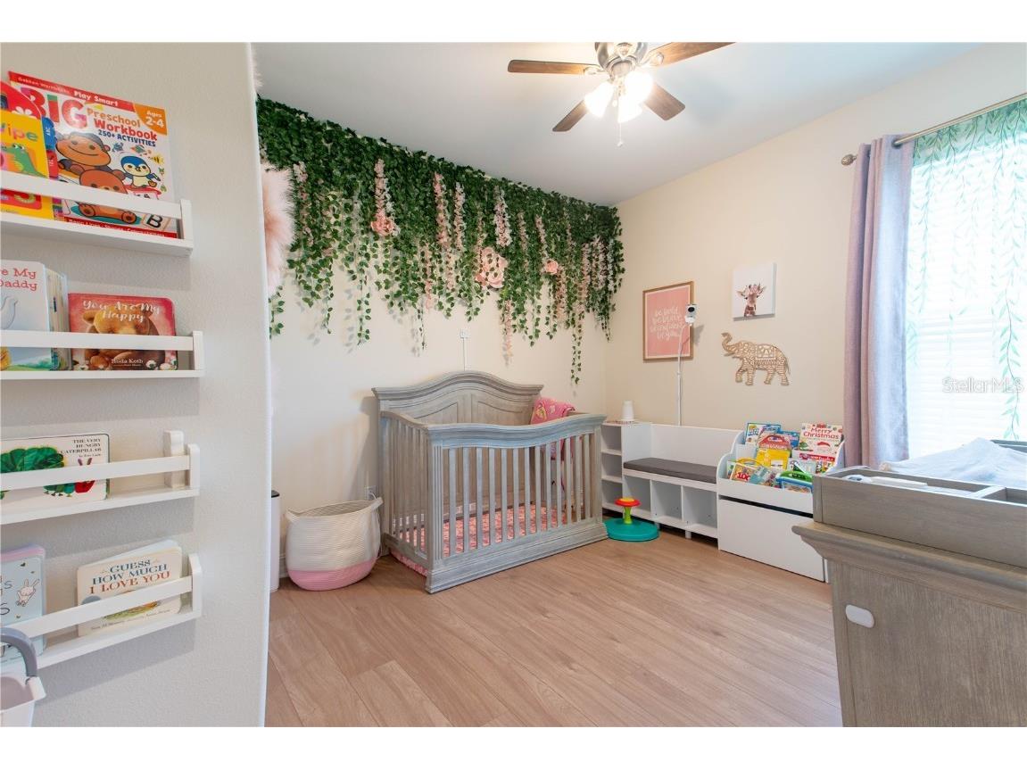 4665 Tivoli Drive Wesley Chapel FL 33543 TB8426667 image8