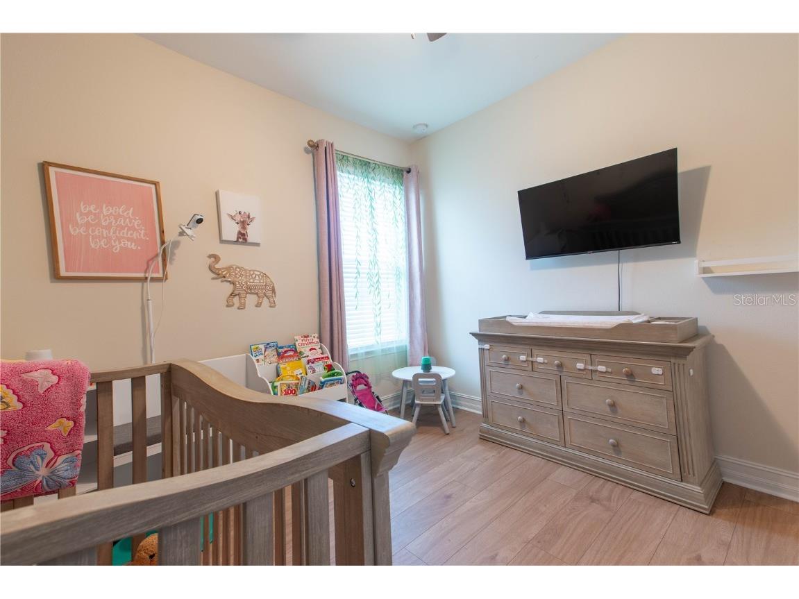 4665 Tivoli Drive Wesley Chapel FL 33543 TB8426667 image9