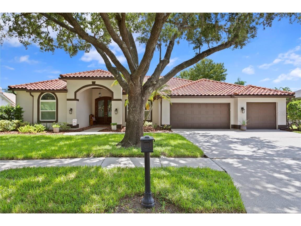 4667 Bardsdale Drive Palm Harbor FL 34685 T3467846 image1