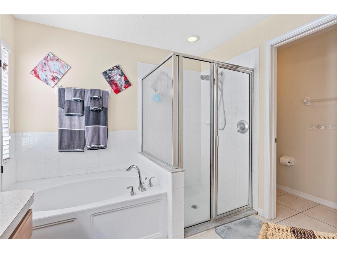 4667 Hickory Stream Lane Mulberry FL 33860 TB8449531 image19