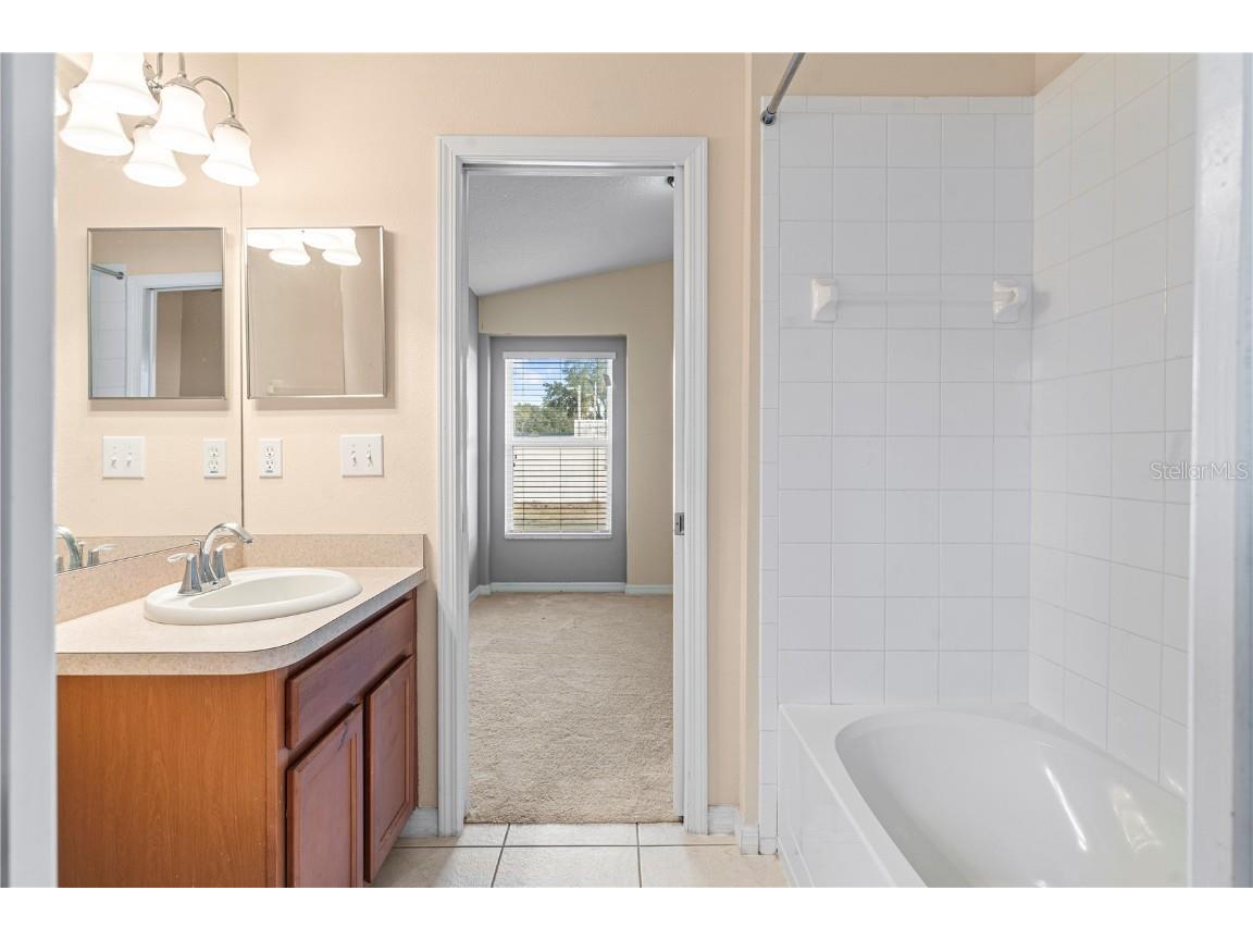 4667 Hickory Stream Lane Mulberry FL 33860 TB8449531 image29