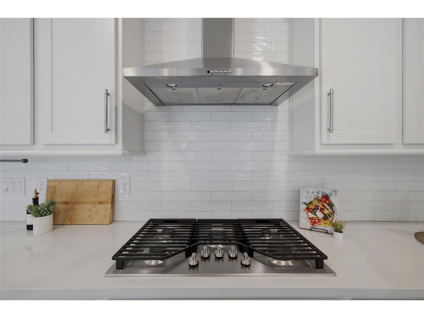 4667 San Martino Drive Wesley Chapel FL 33543 TB8529370 image10