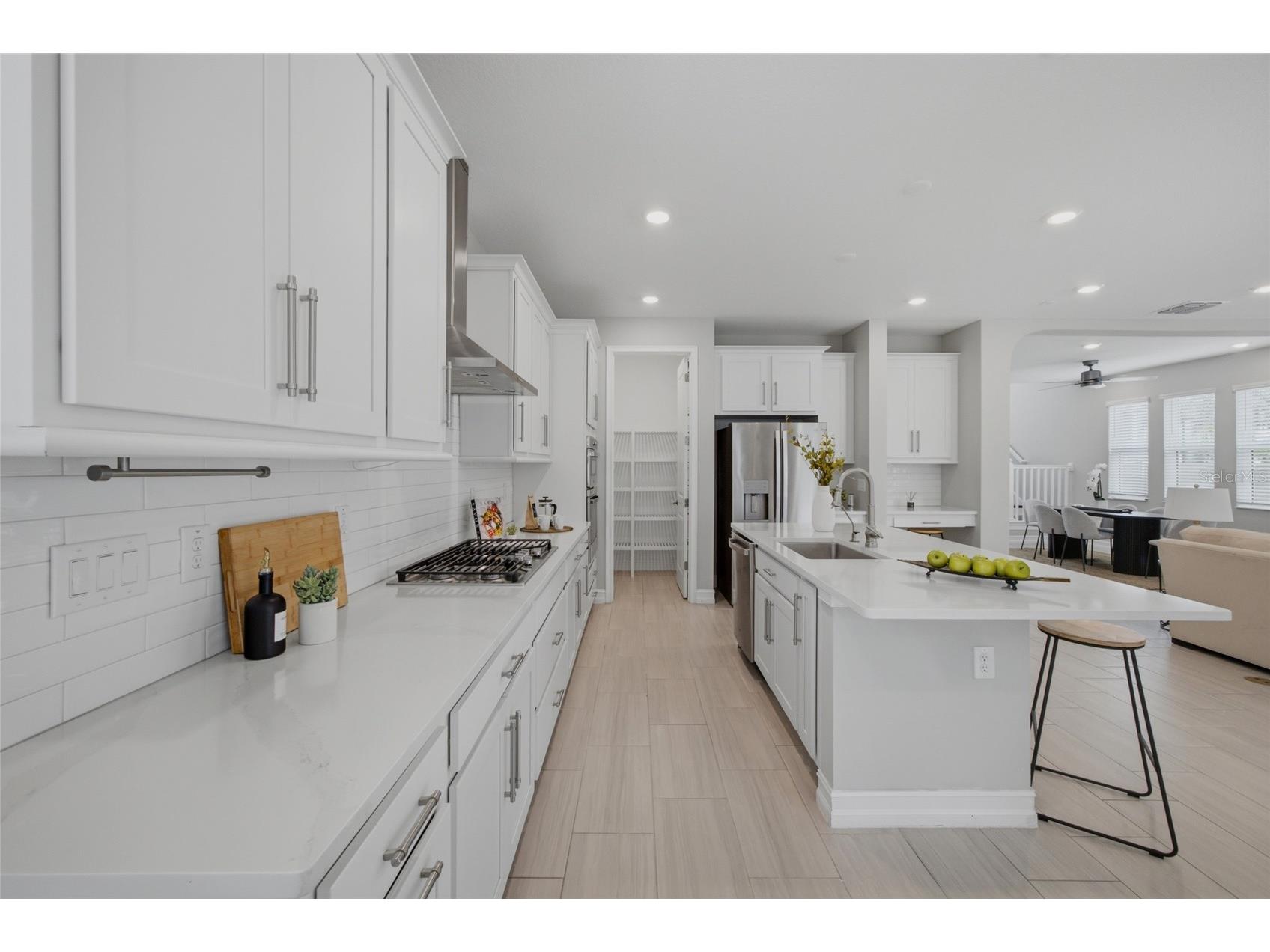4667 San Martino Drive Wesley Chapel FL 33543 TB8529370 image11