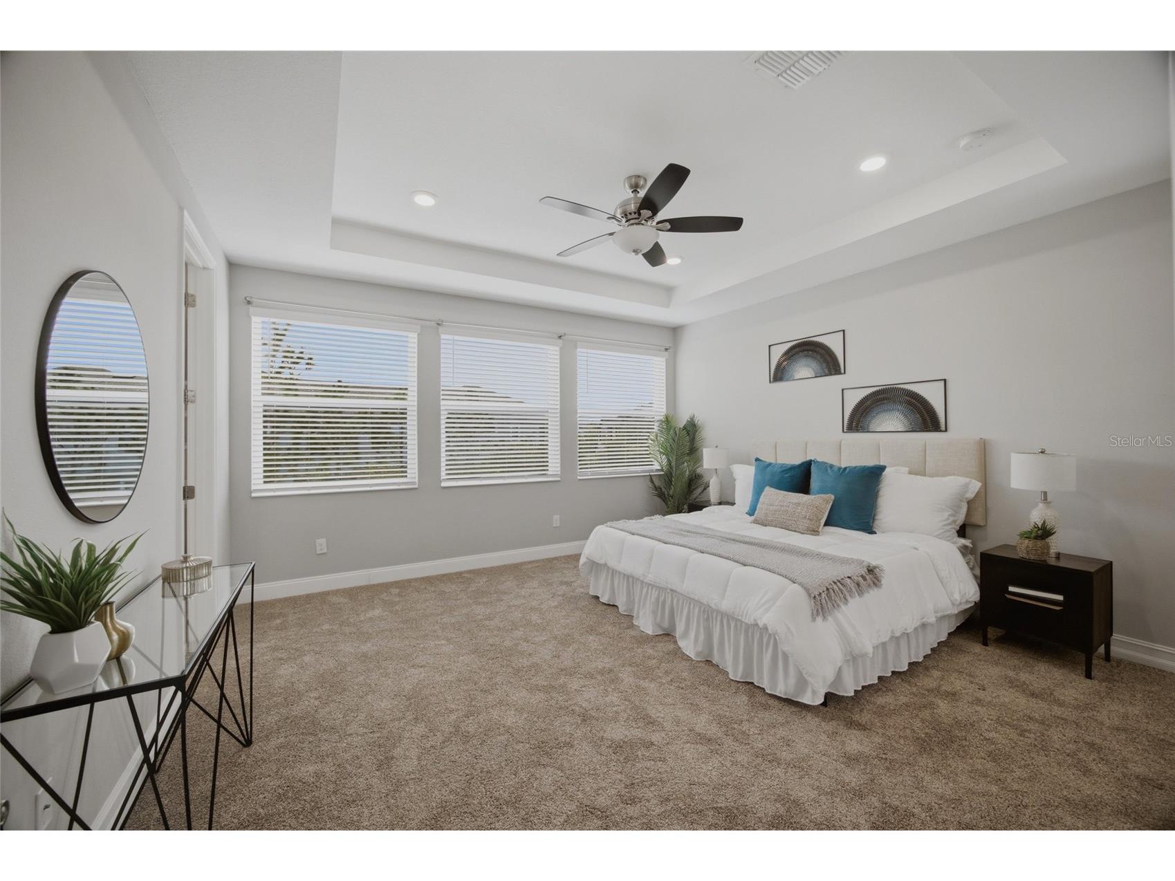 4667 San Martino Drive Wesley Chapel FL 33543 TB8529370 image30