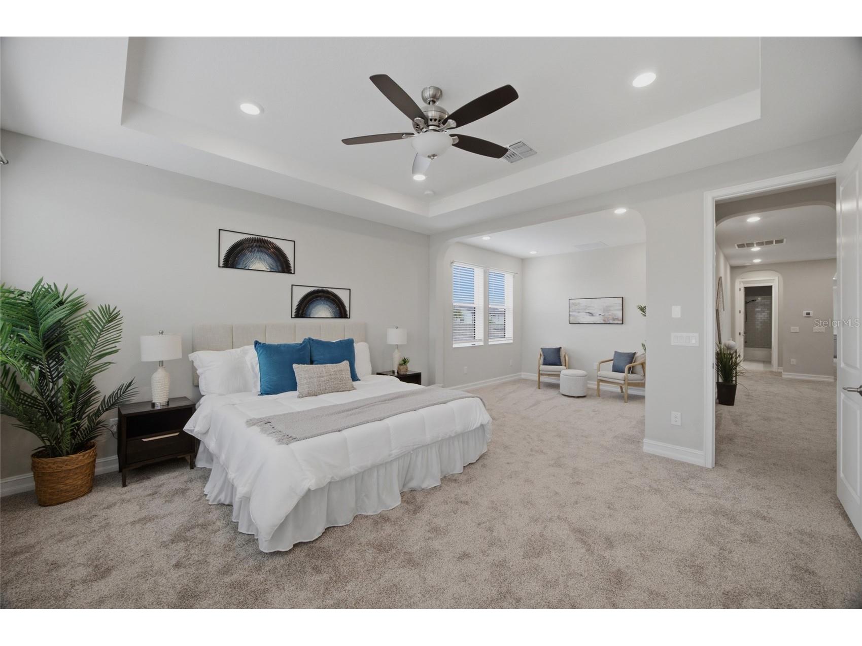 4667 San Martino Drive Wesley Chapel FL 33543 TB8529370 image31