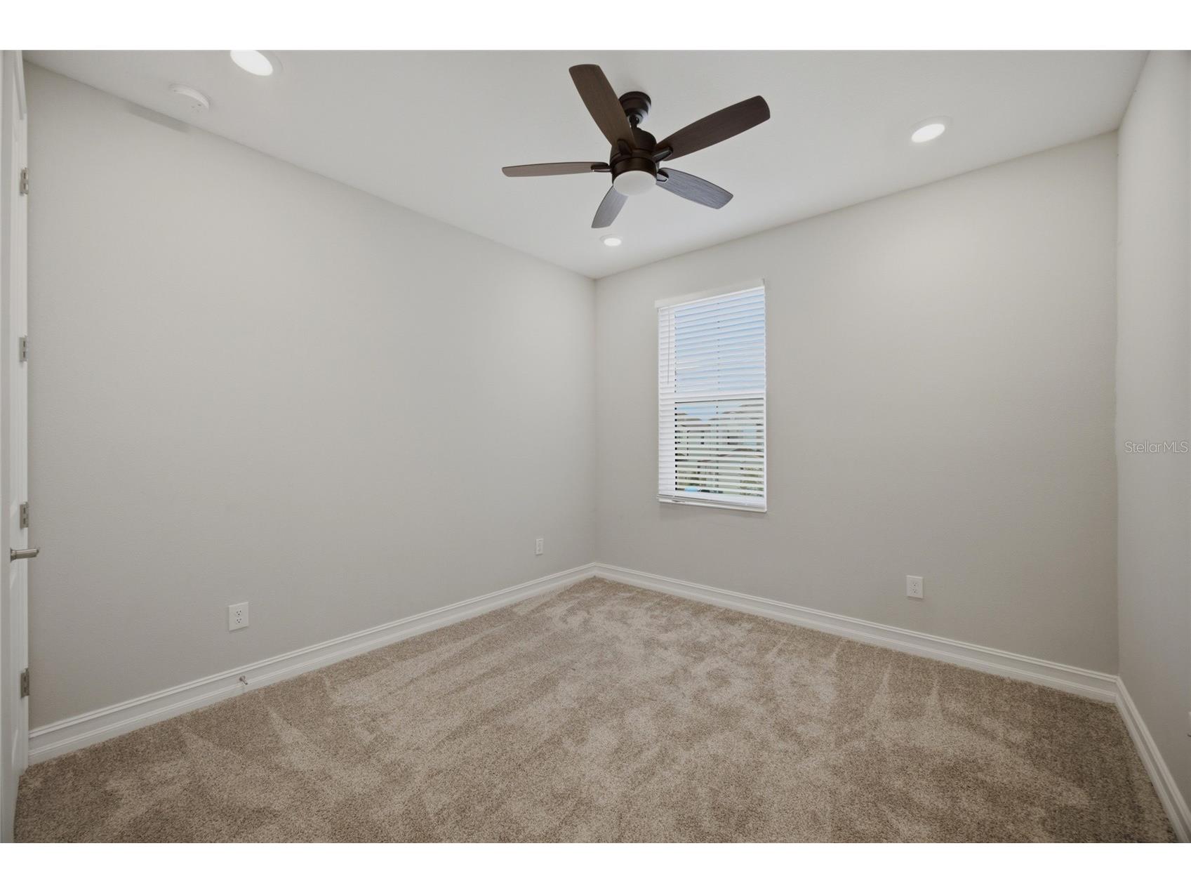 4667 San Martino Drive Wesley Chapel FL 33543 TB8529370 image39