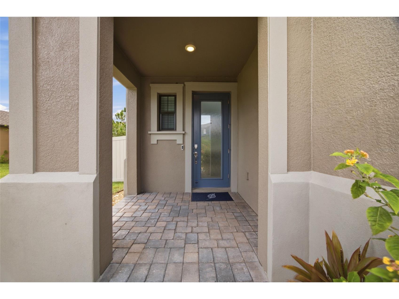 4667 San Martino Drive Wesley Chapel FL 33543 TB8529370 image4