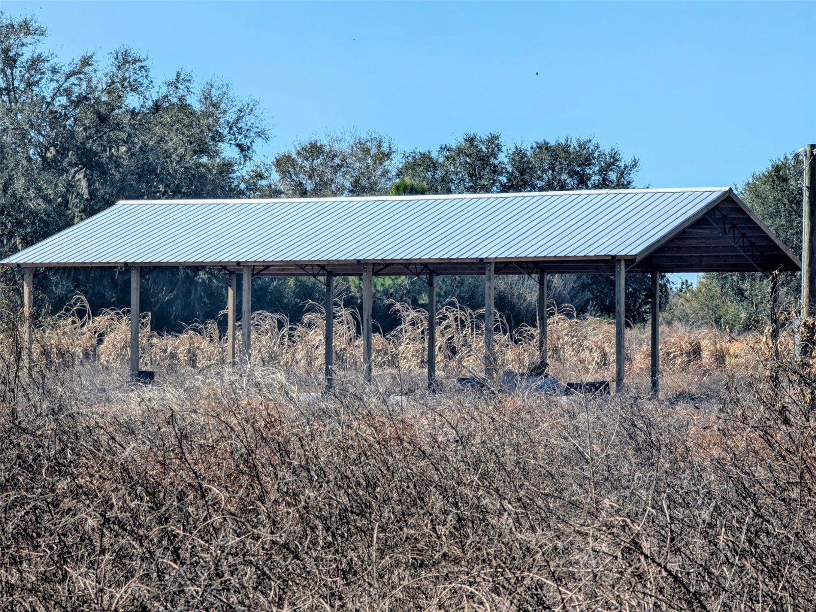 46683 Peeples Lane Wauchula FL 33873 TB8483192 image1
