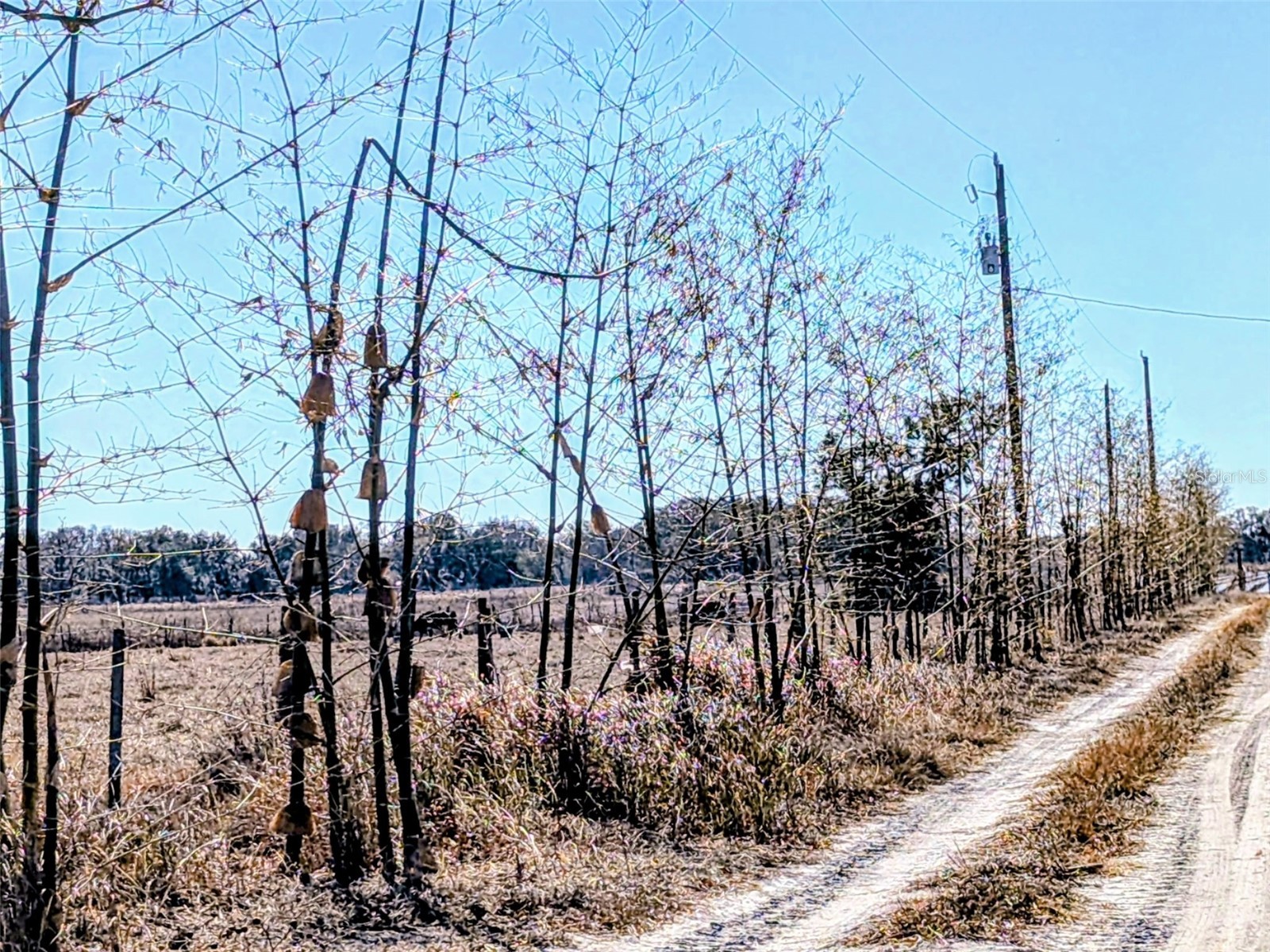 46683 Peeples Lane Wauchula FL 33873 TB8483192 image17
