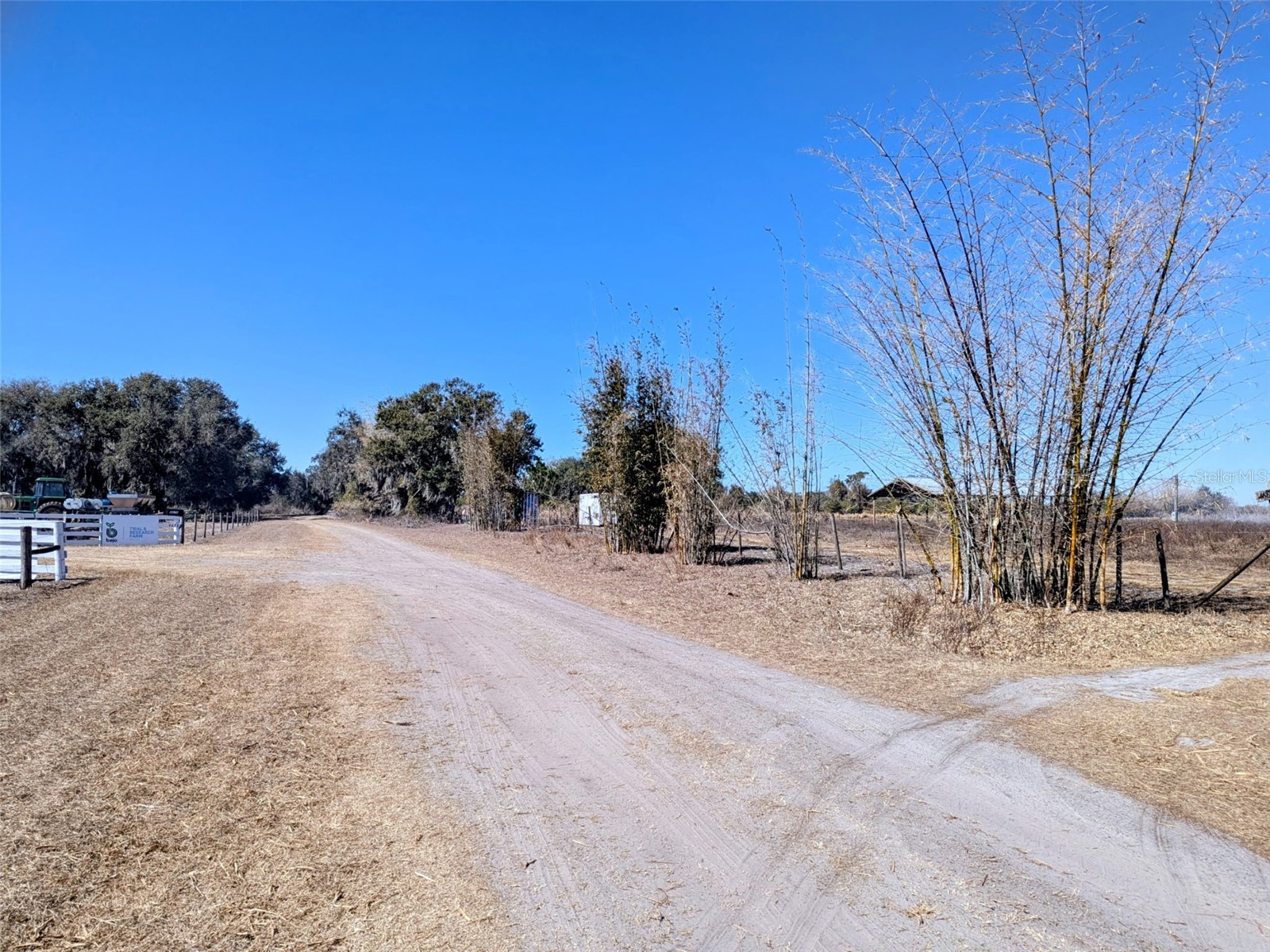 46683 Peeples Lane Wauchula FL 33873 TB8483192 image6