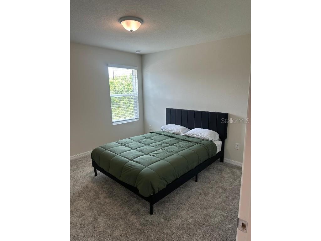 4669 Sparkling Shell Avenue Kissimmee FL 34746 S5139369 image12