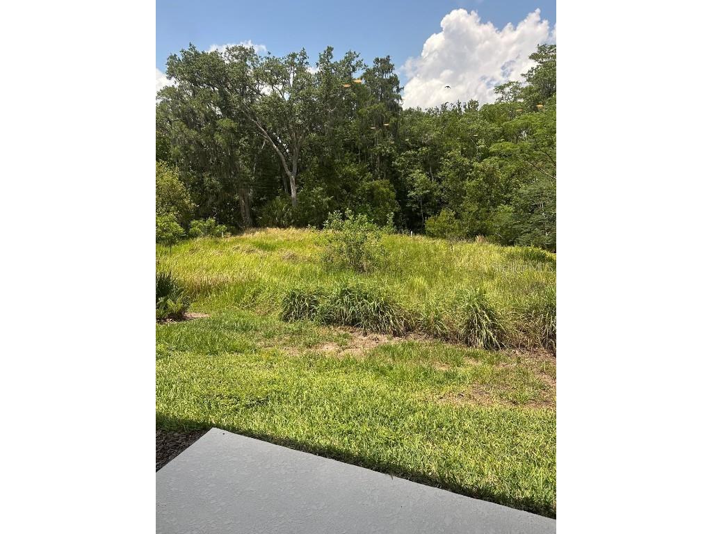 4669 Sparkling Shell Avenue Kissimmee FL 34746 S5139369 image17