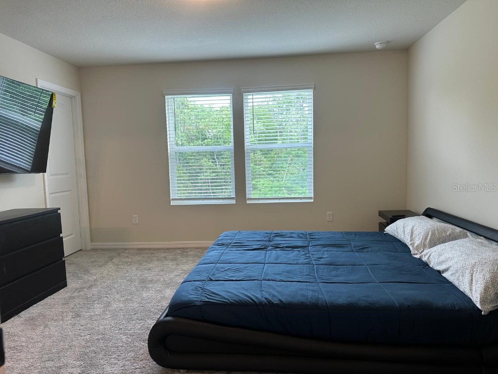 4669 Sparkling Shell Avenue Kissimmee FL 34746 S5139369 image9