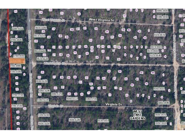 467 Baden Powell Road Hawthorne FL 32640 OM629907 image3