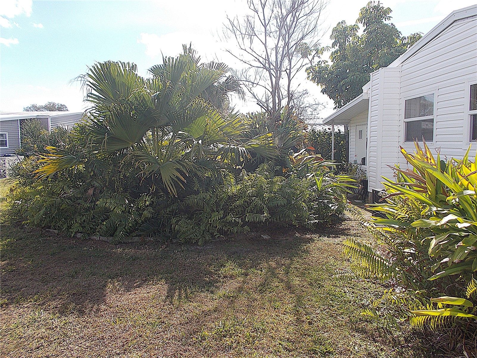 467 Boxwood Drive Venice FL 34285 N6142557 image31
