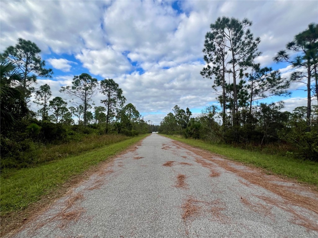 467 Hanscom Street Port Charlotte FL 33953 C7517764 image3