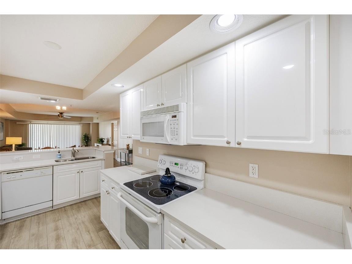 4670 Links Village Drive #A506 Ponce Inlet FL 32127 NS1086726 image31