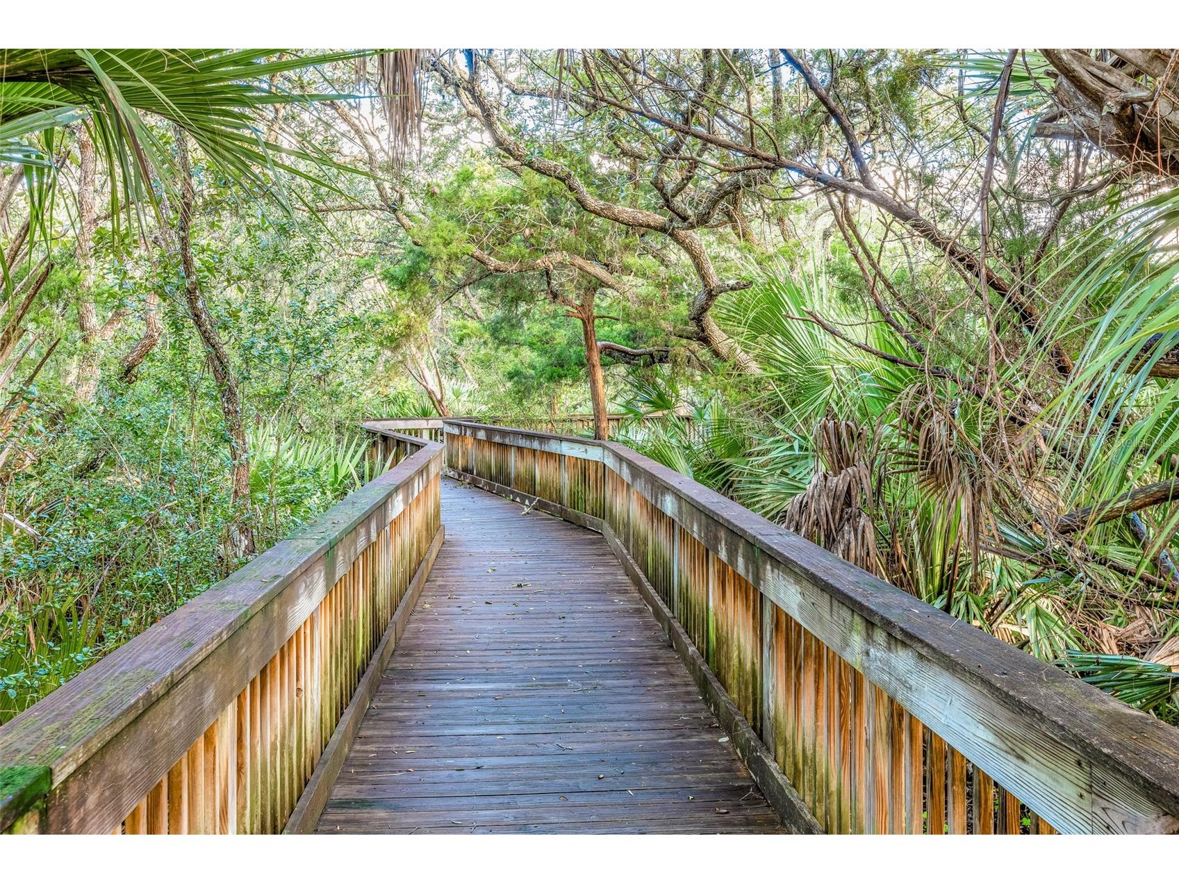 4670 Links Village Drive #D206 Ponce Inlet FL 32127 NS1084850 image56