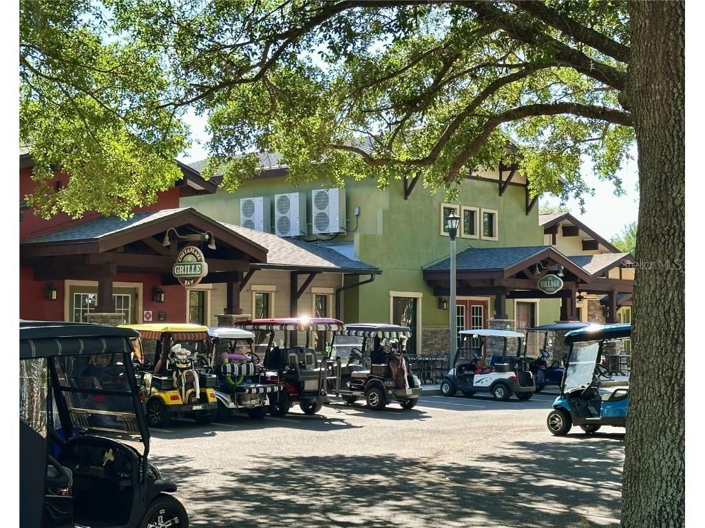 4671 Spring Grove Lane Leesburg FL 34748 G5095980 image40