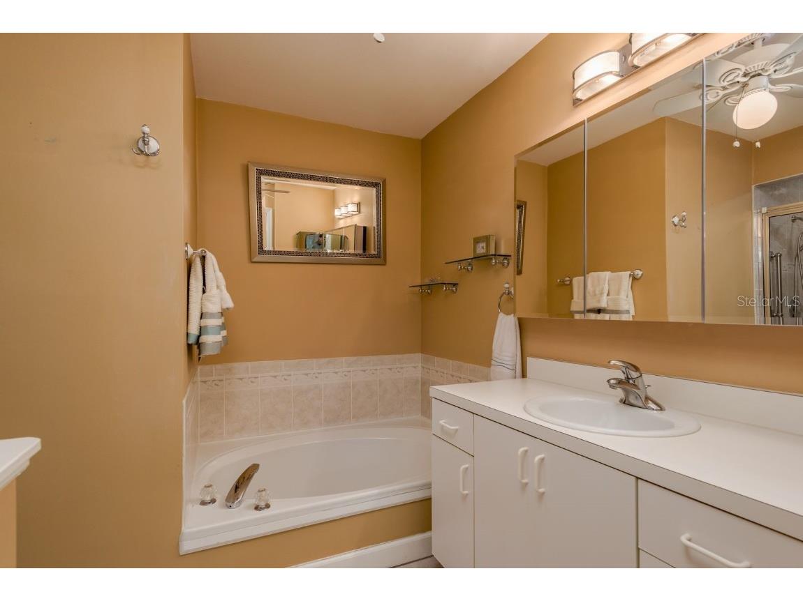 4671 Tudor Lane Palm Harbor FL 34683 TB8438259 image18