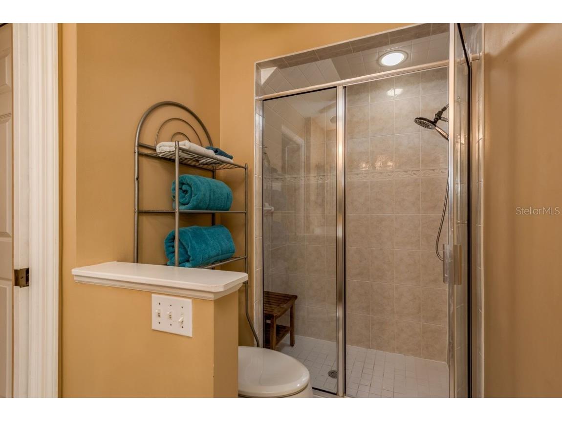 4671 Tudor Lane Palm Harbor FL 34683 TB8438259 image19