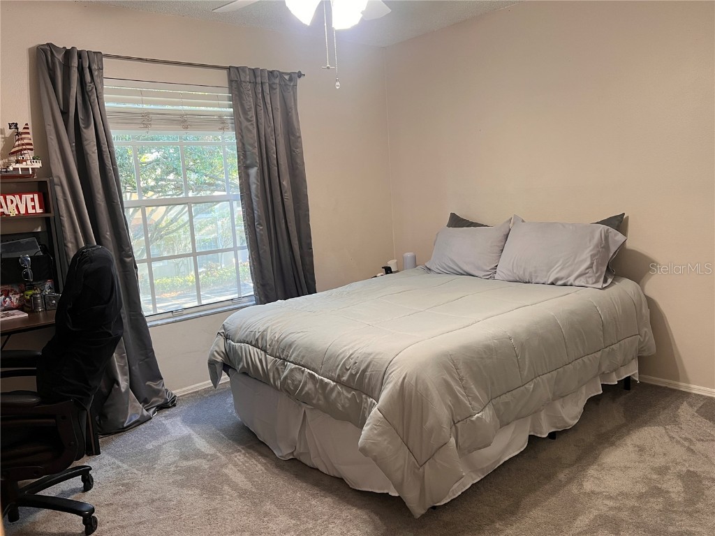 4671 Tudor Lane Palm Harbor FL 34683 TB8438259 image22