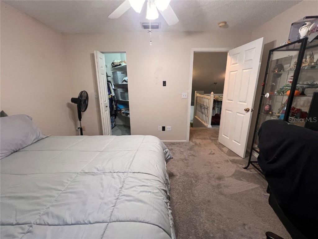 4671 Tudor Lane Palm Harbor FL 34683 TB8438259 image23