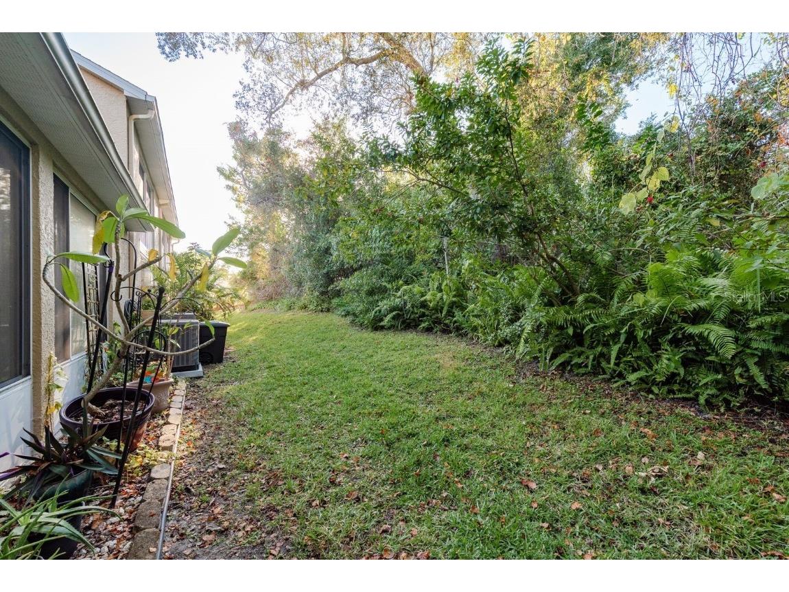 4671 Tudor Lane Palm Harbor FL 34683 TB8438259 image29