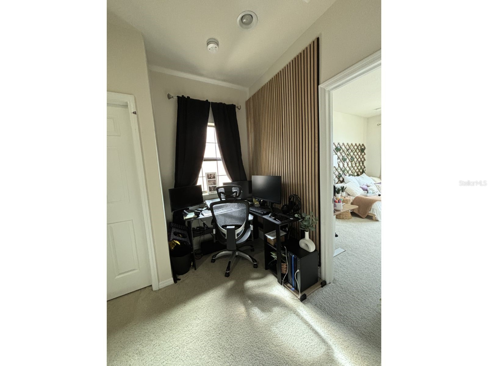 4671 Wandering Way Wesley Chapel FL 33544 TB8471870 image14