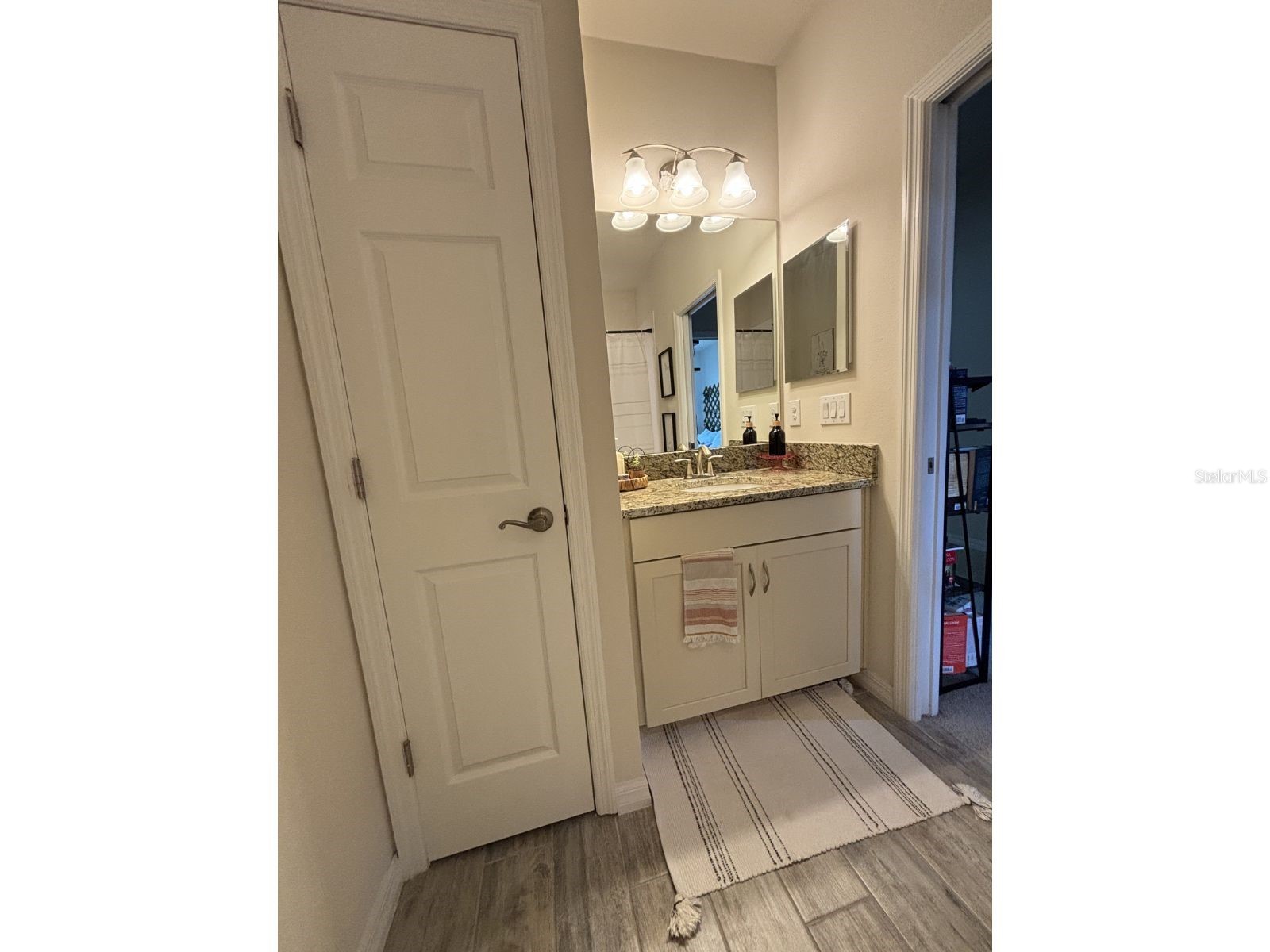 4671 Wandering Way Wesley Chapel FL 33544 TB8471870 image15