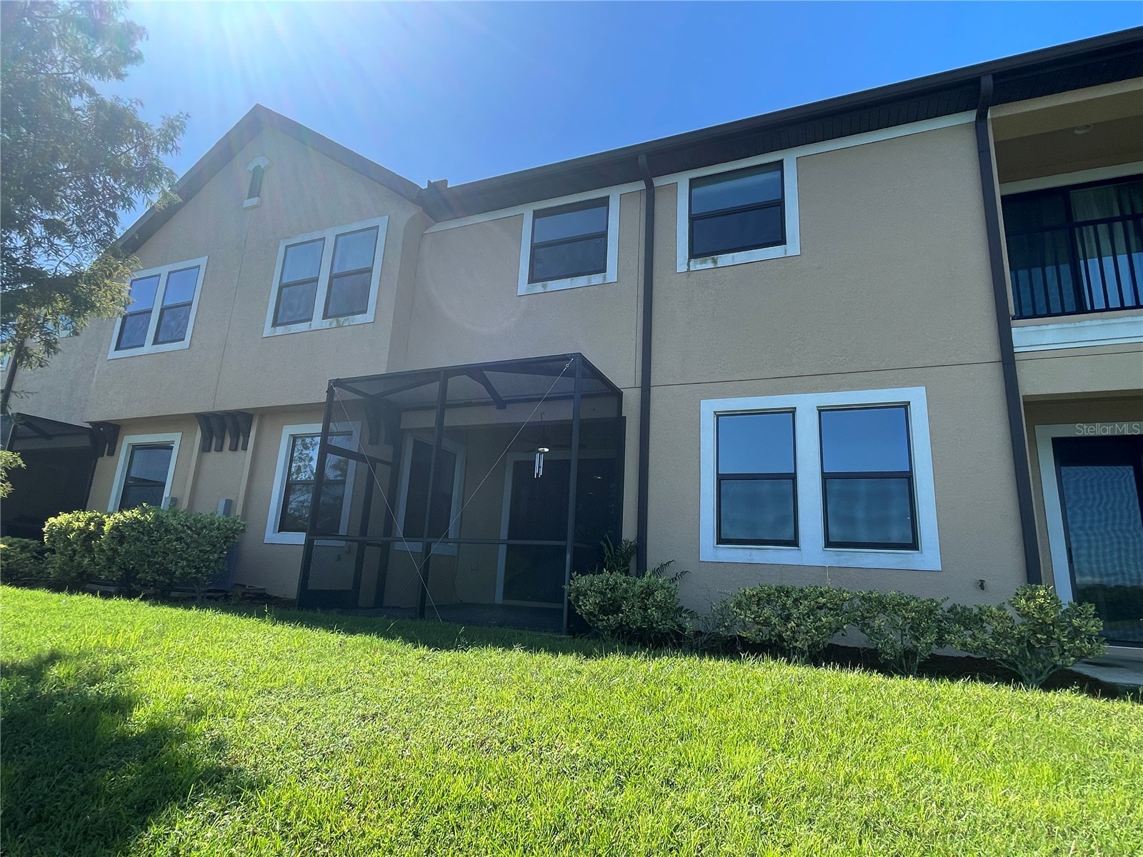 4671 Wandering Way Wesley Chapel FL 33544 TB8471870 image23